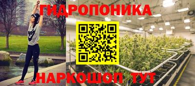 spice Краснознаменск