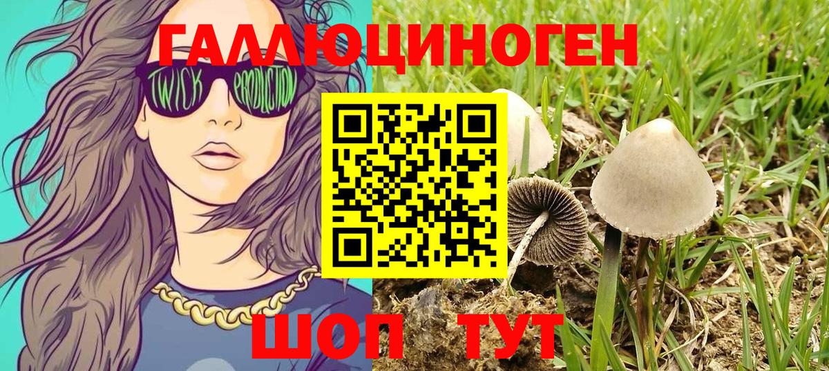 Галлюциногенные грибы Psilocybine cubensis  Вход с VPN  как найти закладки  Калач-на-Дону 